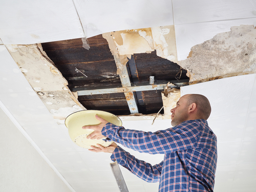 defects house lawyer sollicitor netherlands flaws